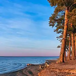 Lebyazhe, Yegoryevsky District