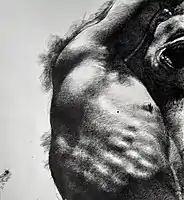 Torso I. pen drawing 29 x 42&nbsp;cm, 1999