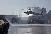 1st Air Cavalry Brigade Takes Birds to Port of Beaumont