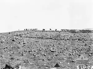 4th Light Horse Regiment at Kaukab