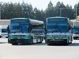 MCI suburban coaches are primarily finished in green.