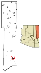 Location of Springerville in Apache County, Arizona