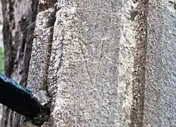 Arrowhead-shaped mason's mark in Athenry Priory, Ireland, 13th century