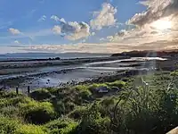 Nesting area for birds at Ambury Regional Park