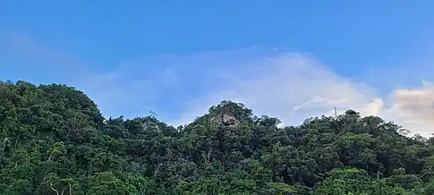 Karst mountains in the Vega Forest