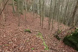 Image 4: NW end of the ditch (Dec&nbsp;2014)