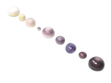 A collection of quahog pearls, ranging in color from white to purple.