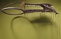 Weaved hornbill headgear of the Ilongot
