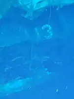 Pennant number 413 still visible