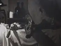 Every Minute You Are Closer to Death, 2013