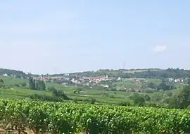 A general view of Montagny-lès-Buxy