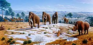 Pleistocene of Northern Spain, including woolly mammoth, cave lions eating a reindeer, horses, and woolly rhinoceros