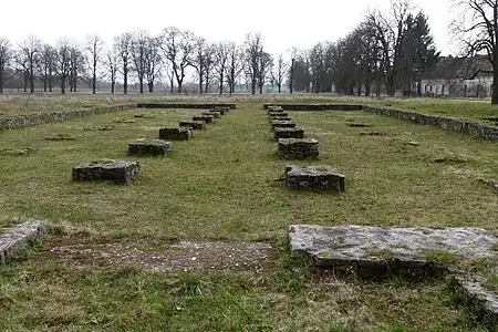 The basement of the Horreum