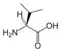 L-Valine(Val / V)