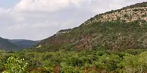 Limestone bluff, typical of the Edwards Plateau, Highway 336, Real County (14 Apr 2012)