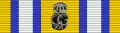 Svea Life Guards and the Life Guards Brigade Medal of Merit