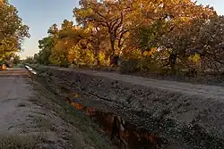 Looking Southwest down the Los Padillas Drain. The South Valley is home to many such irrigation ditches.