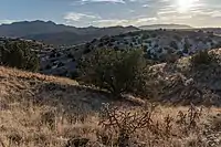 Cerrillos Hills State Park in Winter