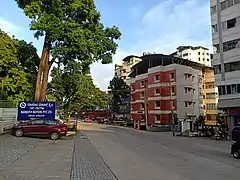 Mother Theresa Road at Falnir