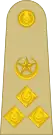 Insignia of one-star Brigadier Pakistan