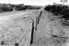 Photo of the Rabbit proof fence, taken in 1927