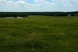 Ranchland seen from Highway 916 east of Grandview, Johnson County, Texas, USA (26 June 2021)