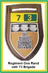 SADF 7 Division 73 Brigade Regiment Oos Rand Flash