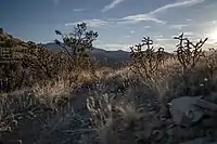 Looking south from Cerrillos Hills State Park towards the Ortiz Mountains