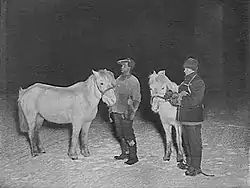 Two men stand on snowy ground, with a dark sky background, each man with a white pony. The men are dressed in heavy winter clothing. A caption reads: "Petty Officers Crean and Evans exercising their ponies in the winter".