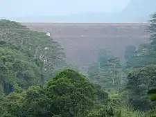 Downstream view of the 87m tall dam.