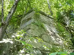 Western Abutment of the Bright Hope Railroad Bridge over Swift Creek