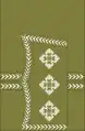 1902 to 1920 captain's rank insignia (general pattern)